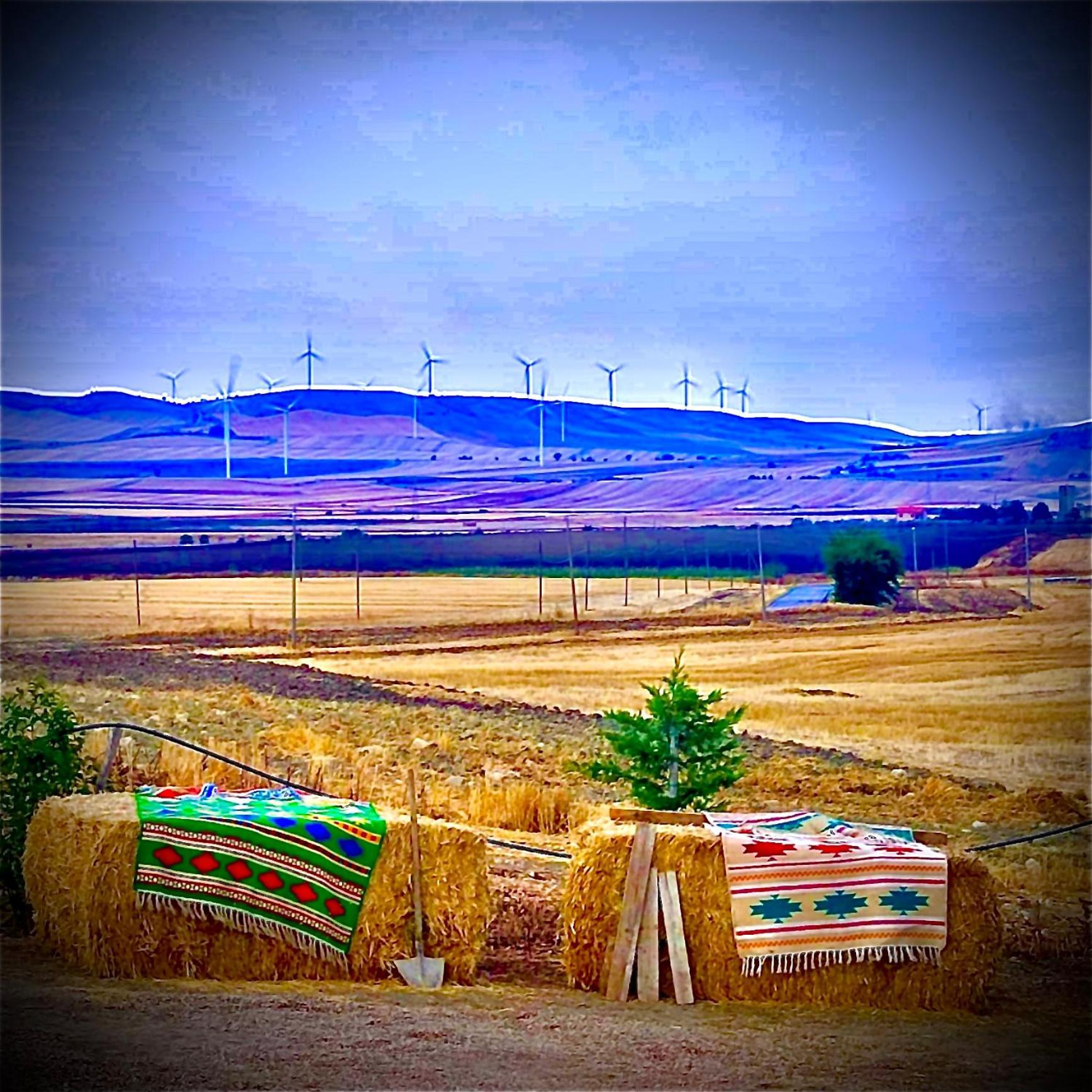 Antica Masseria Il Casone Candela Exterior foto